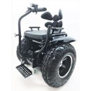 BiGo Sitz-Segway x2 Komfort – Balance-Rollstuhl auf...