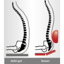 Lendenwirbelstuetze Lordosenstütze Pumpe links...
