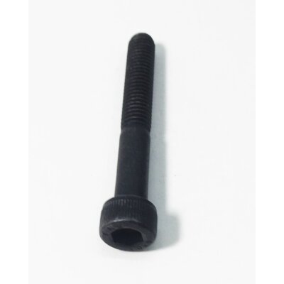 Screw Leansteer Clamp Segway Gen2