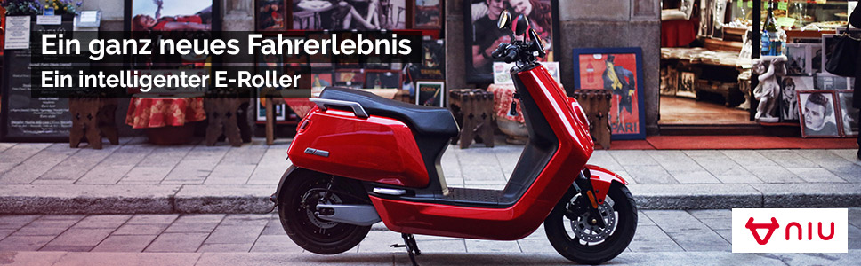 E-Roller NIU | N1s und M1