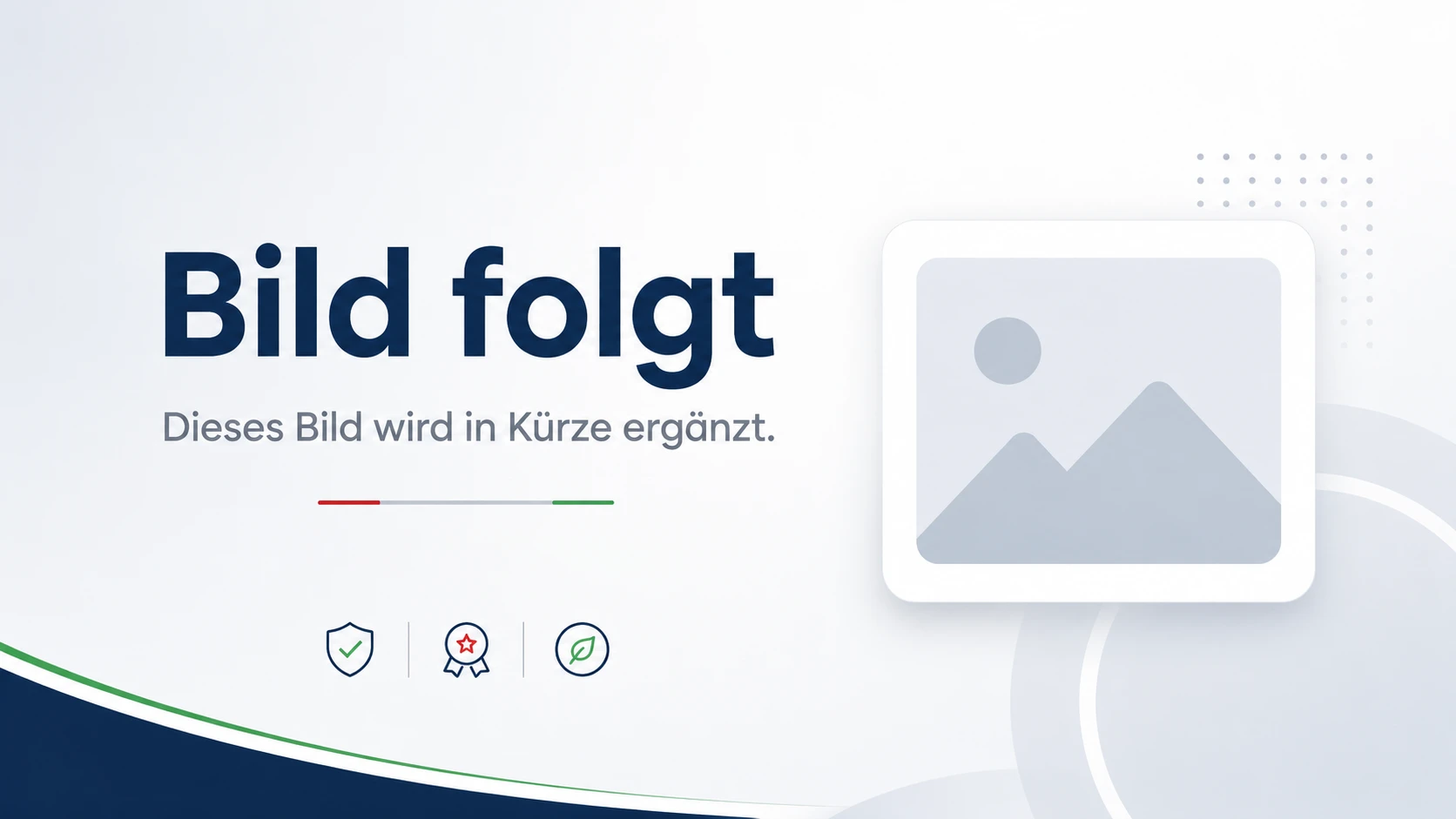 PT Pro Werkstatt bei Diagnose und Reparatur eines Balance-Rollstuhls